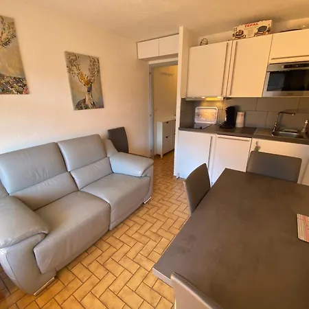 Διαμέρισμα A Petit-chatel, Pres Pistes, Terrasse, Parking - Fr-1-693-114