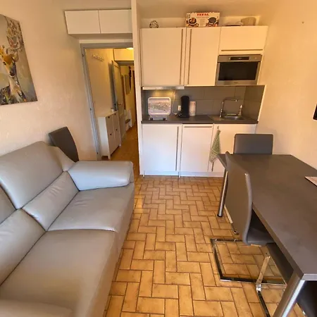 A Petit-chatel, Pres Pistes, Terrasse, Parking - Fr-1-693-114 *